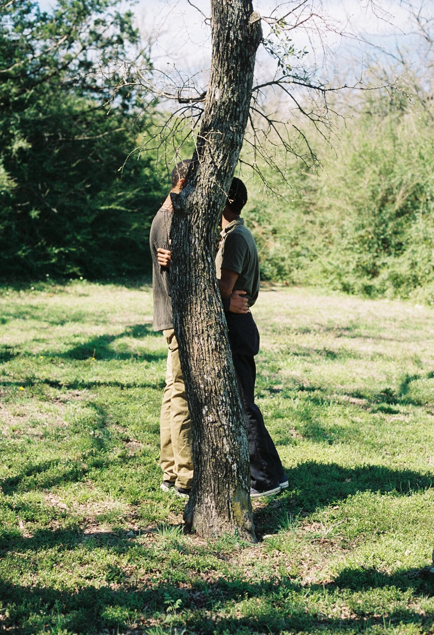   “Como Park” (2019)  